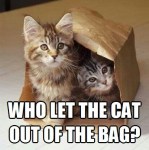 Who-Let-the-Cat-Out-of-the-Bag